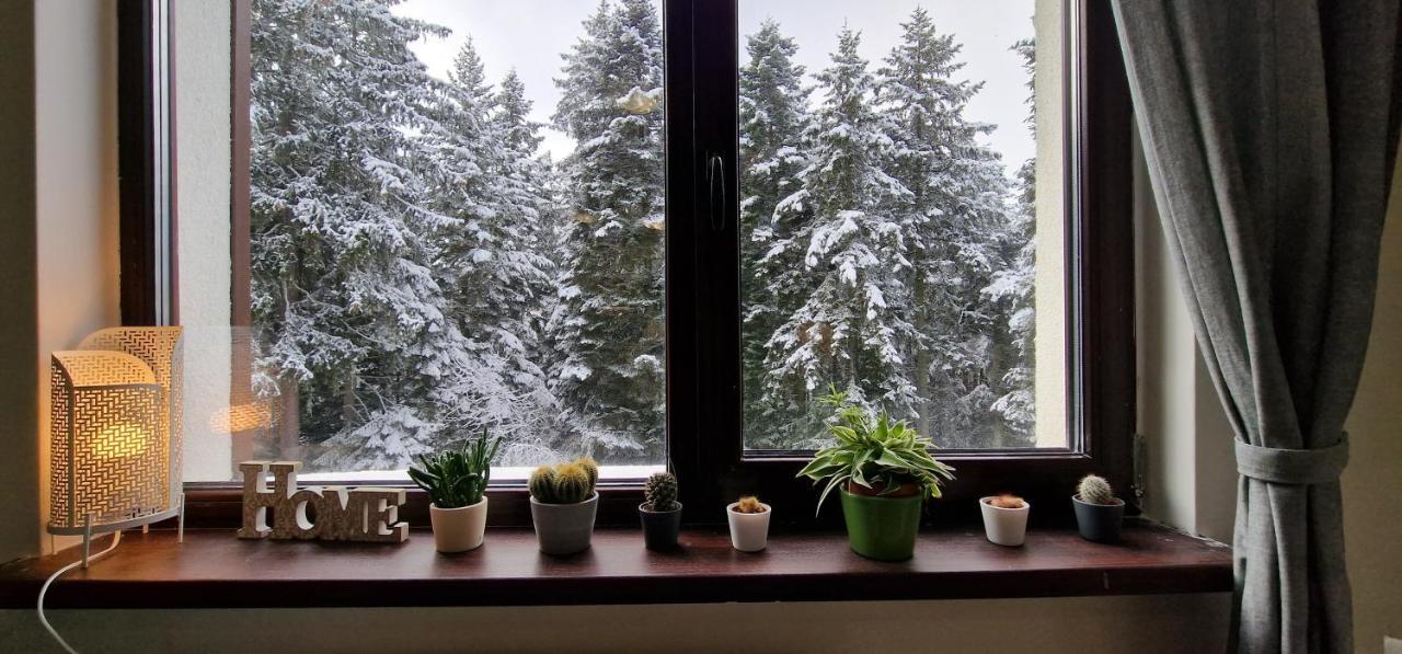 Pine Tree Apartment / Borovets Gardens Bagian luar foto